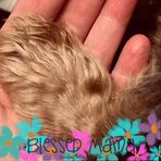 Melissa Jordan Easterling - Facebook