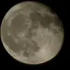 Melissa Eckelbarger - @melissaeckelbarge4 - TikTok