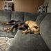 Missy Eckenrode - Facebook