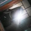 Melissa - @melissaedgar11 - TikTok