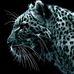 Melissa Egger - Facebook