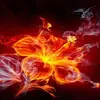 Melissa Frink461 - @melissaegger1 - TikTok