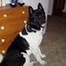 Melissa Embrey - Facebook