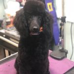 Melissa Embrey - @melissa_embrey_grooms - Instagram