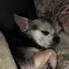 melissaannembrey - @mel_178 - TikTok