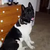melissaembrey7 - @melissaembrey7 - TikTok