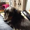 Melissa Erhardt - @melissaerhardt2 - TikTok