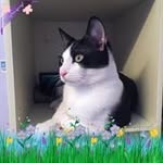 Melissa Ericksen Armstrong - @bwitchn1 - Instagram