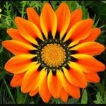 Melissa Eschbach - @momma_eschbach - Instagram
