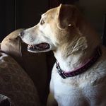 Melissa Odum Etherton - @mimioe68 - Instagram
