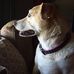 Melissa Odum Etherton - Facebook