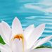 Melissa A Ewell - Facebook