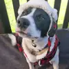 melissa.faraci - @melissa.faraci - TikTok