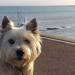 Melissa Farrow - @farrowmel1 - Instagram