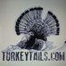 Melissa Ball Feather Painting - Facebook