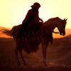 Melissa Feather - @featherarabians - TikTok