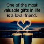 Melissa Ferringer - @melissaferringer - Instagram