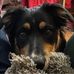 Melissa Findlay - Facebook