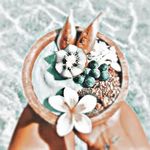 Melissa - @melissaflacken - Instagram