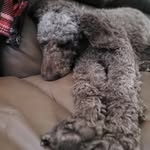 Melissa Flick - @mkflick2025 - Instagram
