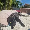 Melissa Flory - @melissa.flory - TikTok
