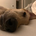 @melissa.fordyce - Instagram