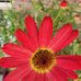 Mel Fredericks - Facebook