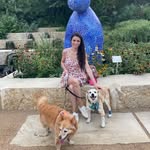 Melissa Fredrick - @melissaandmutts - Instagram