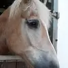 melissa_freund - @melissa_freund - TikTok