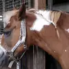 melissa.freund - @melissa.freund - TikTok