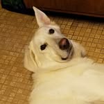 gabbert.melissa - @gabbert.melissa - Instagram