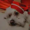 melissa.gales - @melissa.gales - TikTok