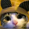 m - @melissagaylor456 - TikTok