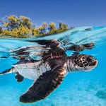 Melissa Gaylor - @gaylorgirl19 - Instagram