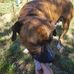 Melissa Scott-Geddes - Facebook