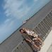 Meli Garvey Gerdes - Facebook