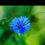 Melissa germain - @germainm217 - Instagram