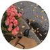 Melissa Givens - Facebook
