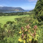 Melissa Gosper - @melgosp1980 - Instagram