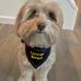 Melissa Minnick Grattan - Facebook