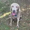 Melissa Nesbit-Gresham - @melissa.nesbitgre - TikTok