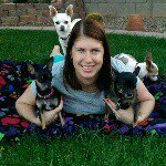Dog Grooming By Melissa - @melissagrooming - Instagram