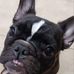 Melissa Guidry - Facebook