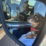 Melissa Guidry - @guidry5477 - Instagram