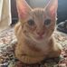 Melissa Haddad - Facebook