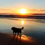Melissa Ginette Halpin - @melissaginette1 - Instagram