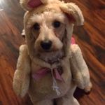Melissa Hamlin - @melissa.hamlin.12 - Instagram