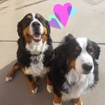 melissa hammock walton - @melissahwalton - Instagram