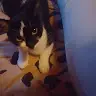 Melissa Harder - @sb19985 - TikTok