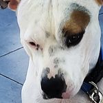 Melissa Harder - @melissa.harder.7524 - Instagram